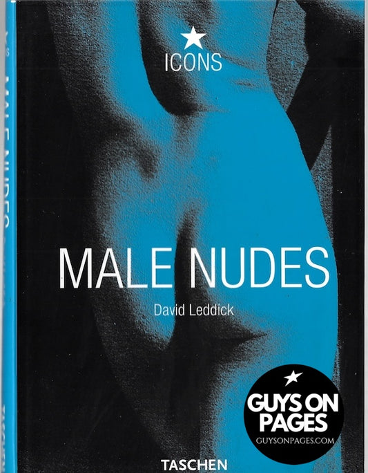 Male Nudes: PO (Icons Series) - Softcover David Leddick